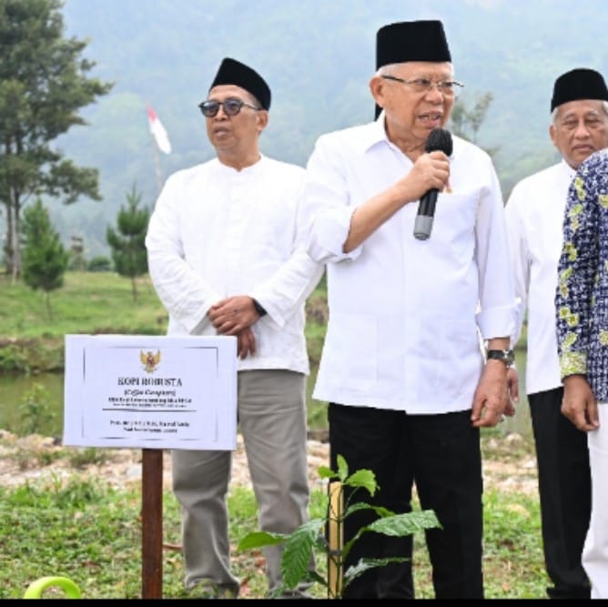 Wapres Maruf Amin menilai Bogor potensial budidayakan kopi