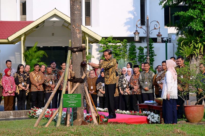 Jokowi-Iriana tanam pulai dan flamboyan di istana jelang purnatugas Jokowi-Iriana tanam pulai dan flamboyan di istana jelang purnatugas
