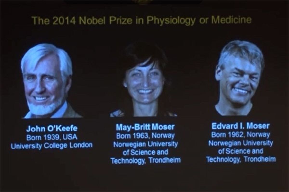 Hadiah Nobel Kedokteran 2024 dianugerahkan untuk dua penemu RNA-mikro Hadiah Nobel Kedokteran 2024 dianugerahkan untuk dua penemu RNA-mikro