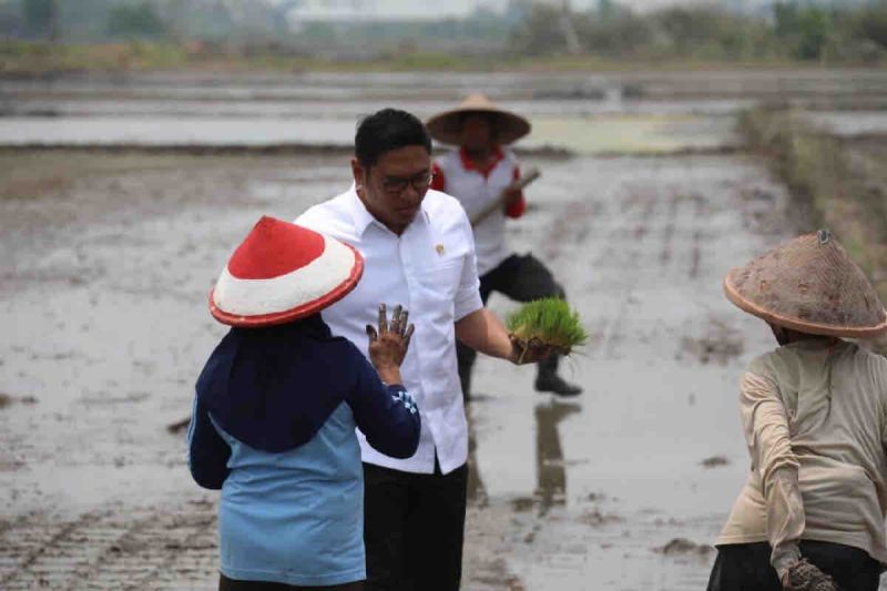 Wamentan: 3 juta hektare sawah dicetak demi ketahanan pangan Indonesia Wamentan: 3 juta hektare sawah dicetak demi ketahanan pangan Indonesia