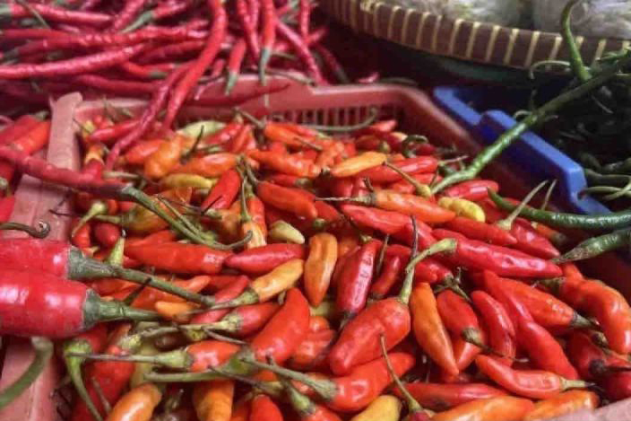 Harga cabai rawit naik Rp5.270 menjadi Rp49.800 per kg Harga cabai rawit naik Rp5.270 menjadi Rp49.800 per kg