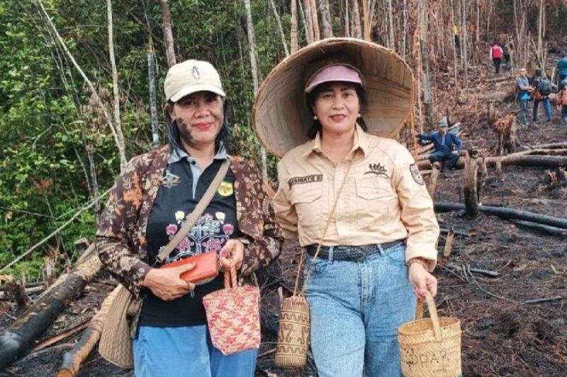 Harubuh manugal berpotensi jadi wisata budaya di Gunung Mas