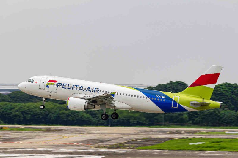Pengamat: Benih Dari Langit Pelita Air bisa kurangi emisi karbon Pengamat: Benih Dari Langit Pelita Air bisa kurangi emisi karbon