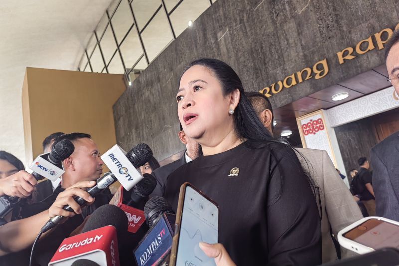 Puan: Nasi goreng bisa dihidangkan lagi saat Megawati-Prabowo bertemu Puan: Nasi goreng bisa dihidangkan lagi saat Megawati-Prabowo bertemu