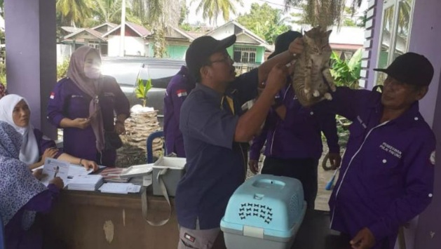 Kasus gigitan HPR di Mukomuko bertambah jadi 83 orang Kasus gigitan HPR di Mukomuko bertambah jadi 83 orang