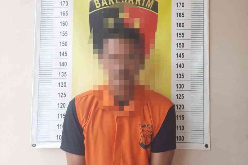 Polisi tangkap pelaku pencabulan anak di bawah umur di Lampung Selatan