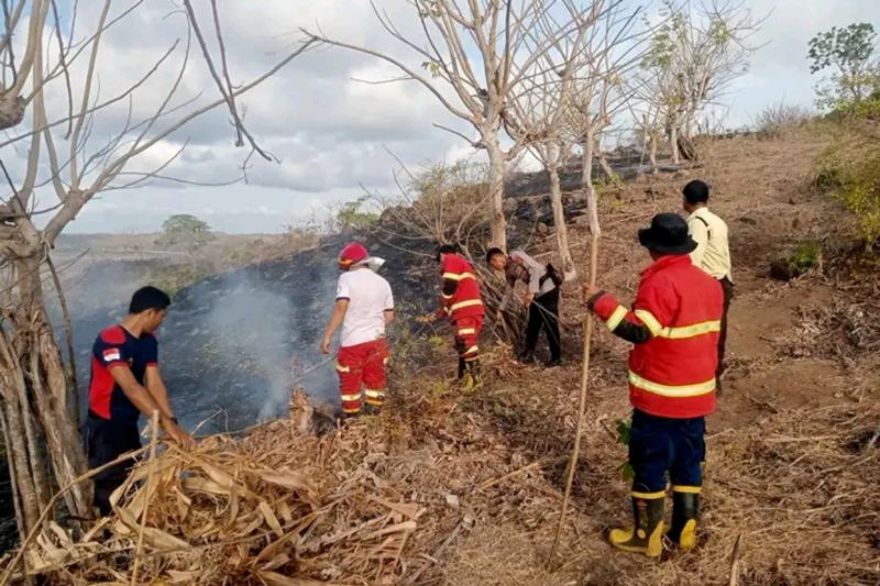 Puluhan hektare lahan Lombok Tengah terbakar saat kemarau Puluhan hektare lahan Lombok Tengah terbakar saat kemarau