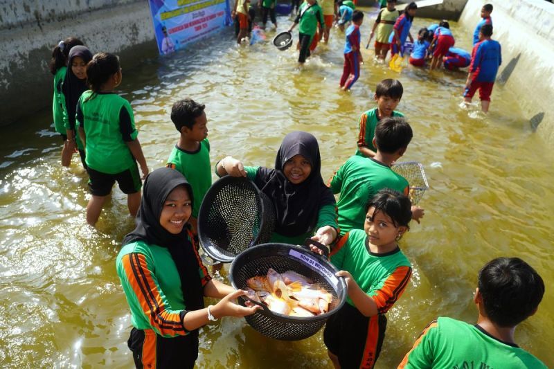 KKP siap pasok ikan untuk dukung program Makan Bergizi Gratis KKP siap pasok ikan untuk dukung program Makan Bergizi Gratis