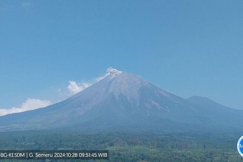 Gunung Semeru erupsi lagi dengan letusan hingga 800 meter Gunung Semeru erupsi lagi dengan letusan hingga 800 meter