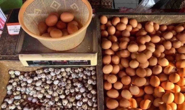 Harga pangan 16 Oktober, telur ayam ras naik jadi Rp30.520 per kg Harga pangan 16 Oktober, telur ayam ras naik jadi Rp30.520 per kg