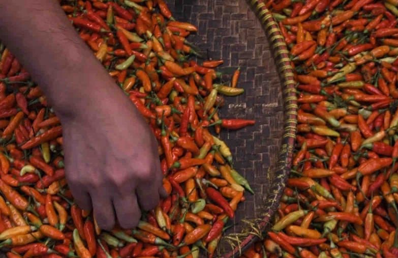 Harga pangan: Beras naik dan cabai rawit turun jadi Rp43.580 per kg Harga pangan: Beras naik dan cabai rawit turun jadi Rp43.580 per kg