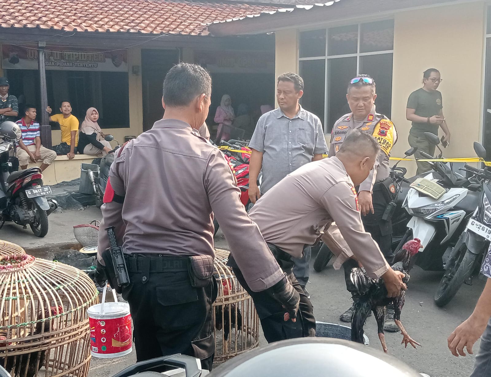 Polisi amankan pelaku judi ayam di dua lokasi di Kabupaten Tegal Polisi amankan pelaku judi ayam di dua lokasi di Kabupaten Tegal
