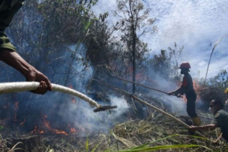 28 titik panas terpantau di Sumatera Utara 28 titik panas terpantau di Sumatera Utara
