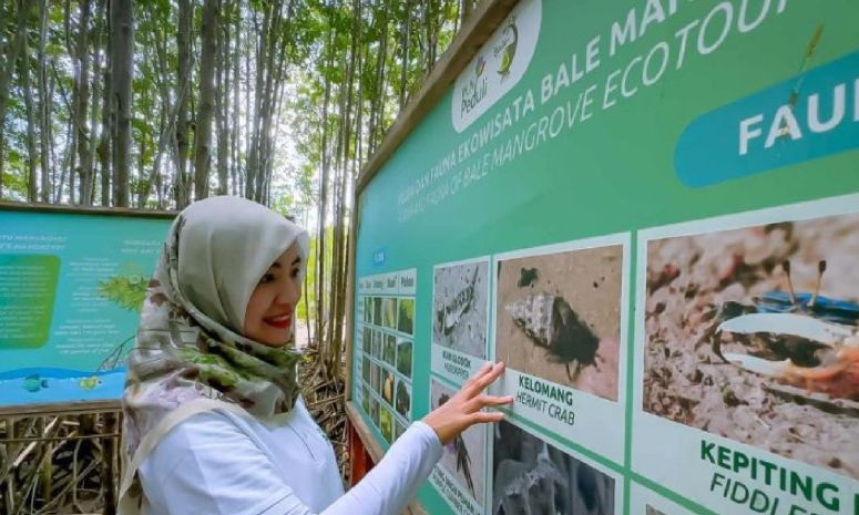 PLN NTB dukung pelestarian lingkungan melalui program Desa Berdaya