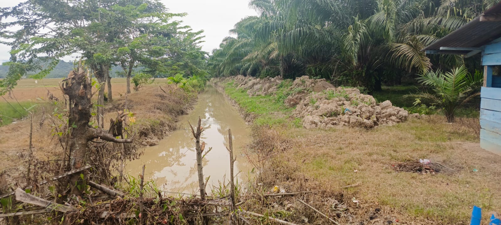 PT Babco bangun parit bantu kelancaran irigasi dan cegah banjir di musim hujan