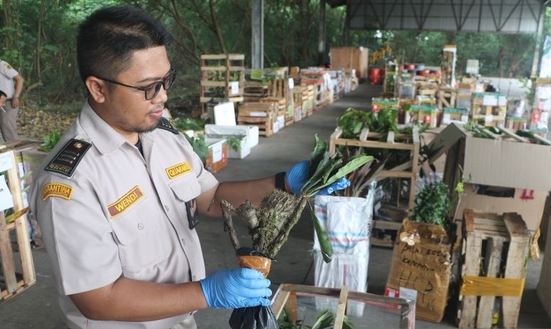 Barantin pastikan tidak ada hewan impor berbahaya masuk Indonesia Barantin pastikan tidak ada hewan impor berbahaya masuk Indonesia