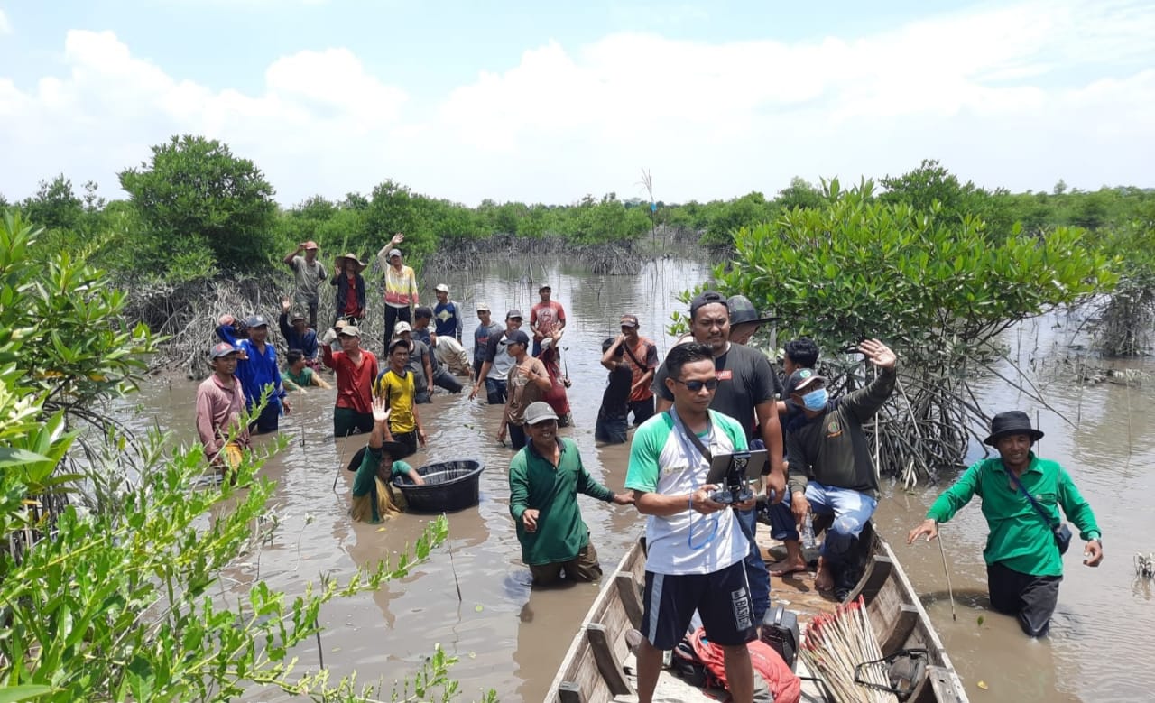 Sejak 2021, BRGM telah merehabilitasi 2.503 hektare mangrove di Langkat Sejak 2021, BRGM telah merehabilitasi 2.503 hektare mangrove di Langkat