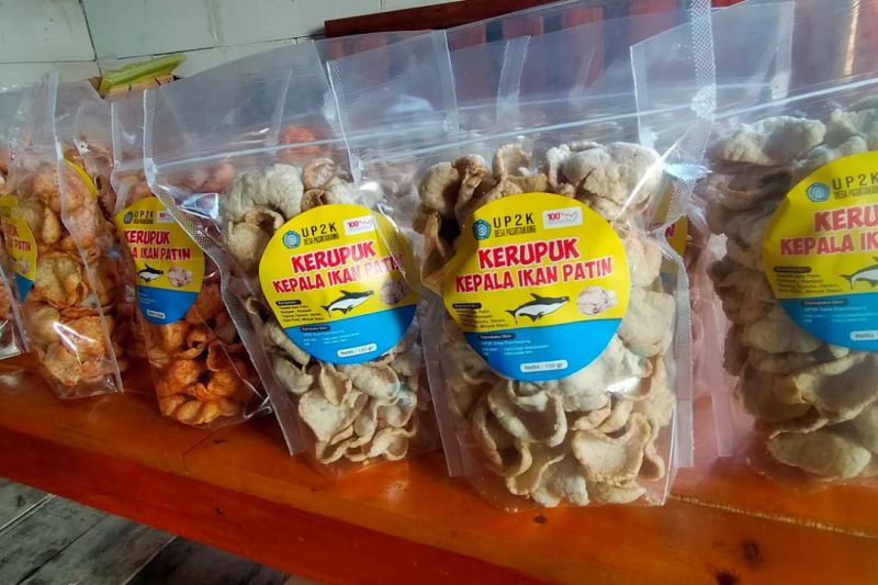 Pemkab Lebak dongkrak ekonomi keluarga peserta KB