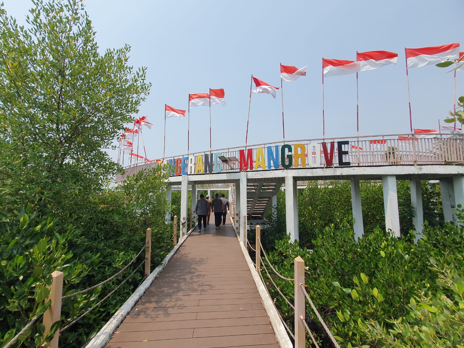 Hutan mangrove sebagai benteng alami pelindung pesisir Hutan mangrove sebagai benteng alami pelindung pesisir