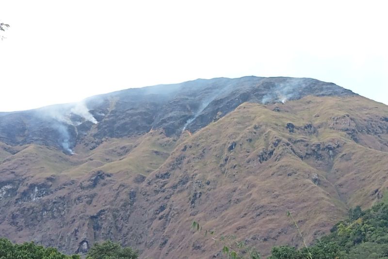 Kawasan bukit di kaki Gunung Rinjani Lombok terbakar Kawasan bukit di kaki Gunung Rinjani Lombok terbakar