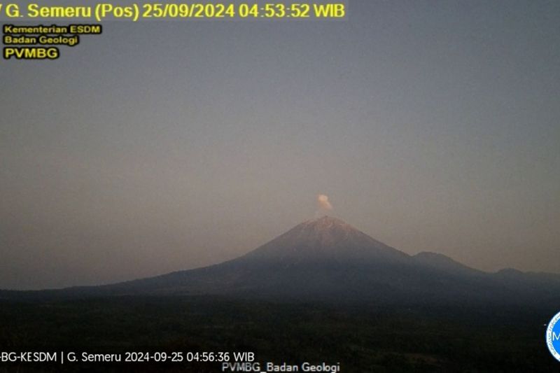 Gunung Semeru beberapa kali erupsi dengan tinggi letusan 600 meter Gunung Semeru beberapa kali erupsi dengan tinggi letusan 600 meter