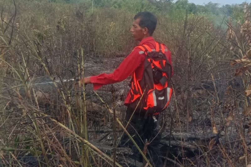 Tim gabungan berhasil padamkan karhutla di Penajam Paser Utara Tim gabungan berhasil padamkan karhutla di Penajam Paser Utara