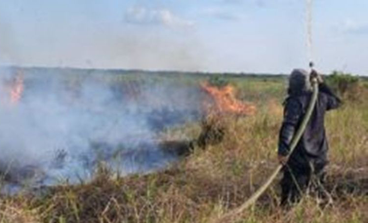 Tujuh desa di Kabupaten Hulu Sungai Selatan terdampak karhutla Tujuh desa di Kabupaten Hulu Sungai Selatan terdampak karhutla