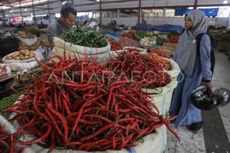 Harga pangan hari ini, cabai merah capai Rp41.000 per kg Harga pangan hari ini, cabai merah capai Rp41.000 per kg