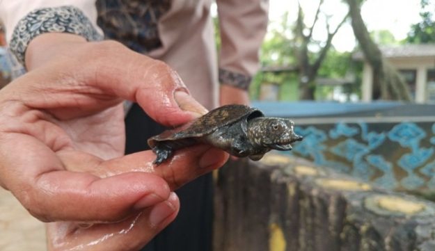 Pemkab Cirebon bentuk 24 desa wisata baru tingkatkan kunjungan turis