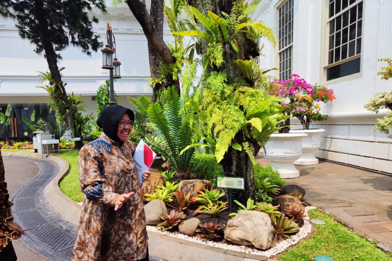 Mensos Tri Risma hadiri rapat bersama Presiden di tengah isu mundur Mensos Tri Risma hadiri rapat bersama Presiden di tengah isu mundur