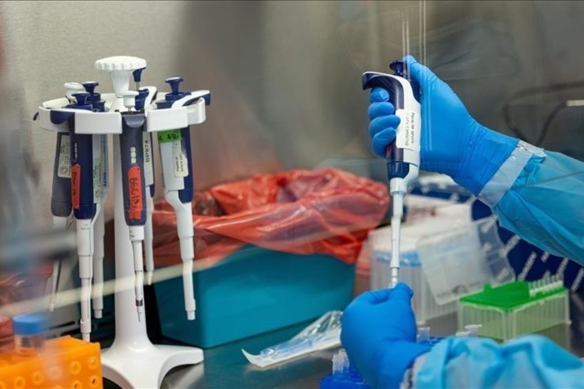 Pakistan konfirmasi kasus mpox ke-4 Pakistan konfirmasi kasus mpox ke-4