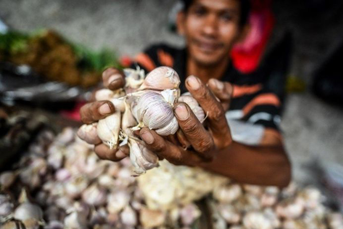 Senin, harga bawang putih capai Rp42.400 per kg