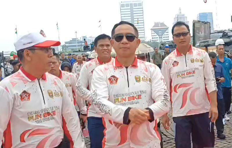 Panglim TNI sebut Presiden Jokowi terkesan dengan alutsista domestik Panglim TNI sebut Presiden Jokowi terkesan dengan alutsista domestik