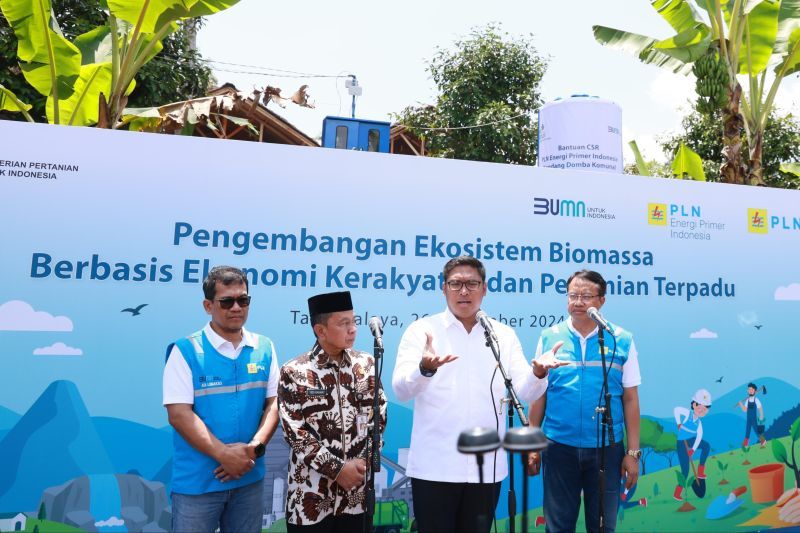 PLN manfaatkan lahan kritis untuk ekosistem biomassa pertanian terpadu PLN manfaatkan lahan kritis untuk ekosistem biomassa pertanian terpadu