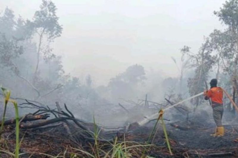 BPBD: Karhutla di Sungai Rotan Muara Enim mencapai 53 hektare BPBD: Karhutla di Sungai Rotan Muara Enim mencapai 53 hektare
