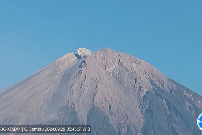 Erupsi Gunung Semeru hingga 500 meter di atas puncak Erupsi Gunung Semeru hingga 500 meter di atas puncak