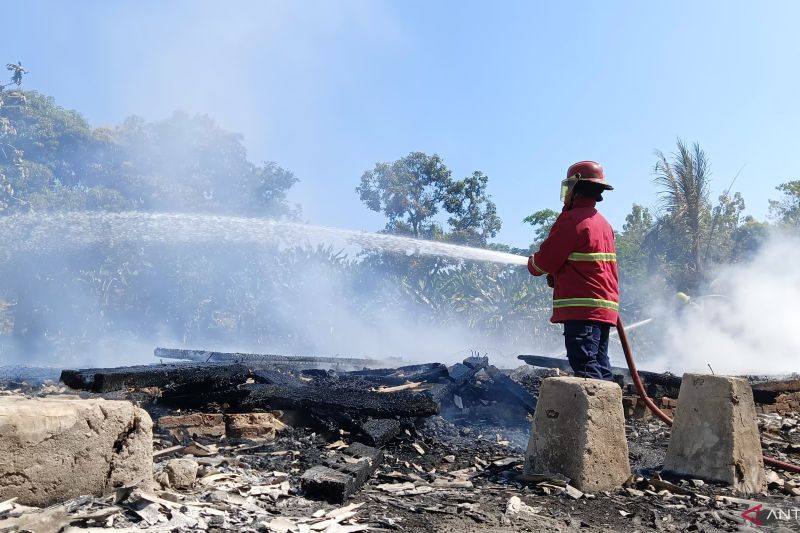 Kerugian akibat kebakaran peternakan mencapai ratusan juta rupiah