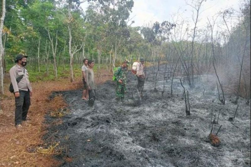 BPBD: Karhutla di Gelumbang Muara Enim capai 40 hektare