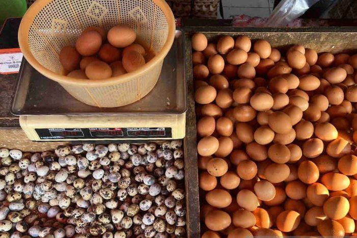 Harga telur ayam ras naik jadi Rp28.560 per kg Harga telur ayam ras naik jadi Rp28.560 per kg