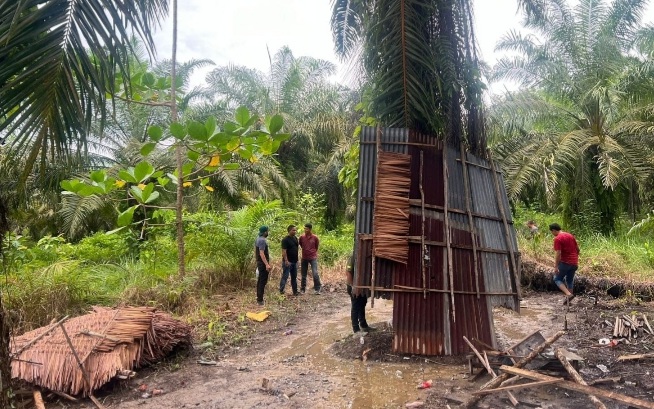 Satres Narkoba Polres Langkat razia GKN dan bakar gubuk Satres Narkoba Polres Langkat razia GKN dan bakar gubuk