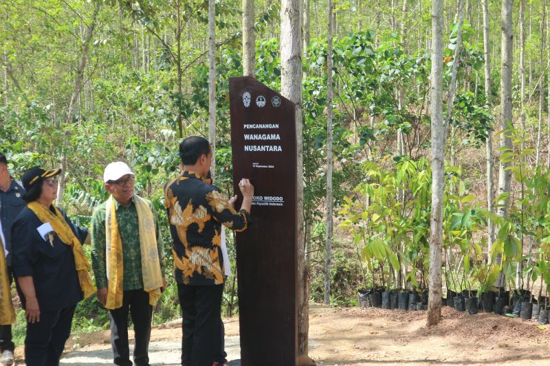 Presiden canangkan hutan pendidikan Wanagama Nusantara di IKN Presiden canangkan hutan pendidikan Wanagama Nusantara di IKN