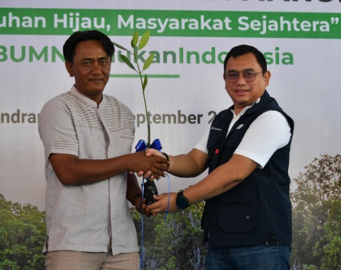Pelindo gelar kick off Program Rehabilitasi Mangrove 2024