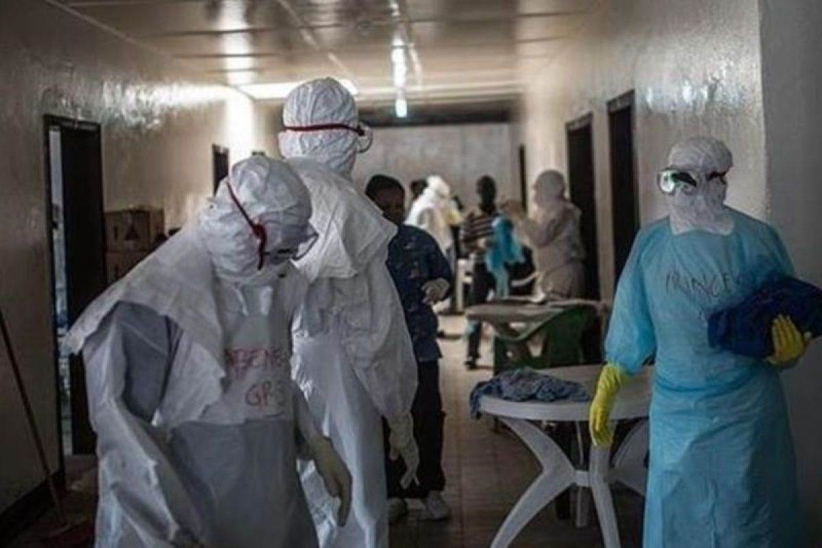 Delapan orang tewas akibat wabah virus Marburg di Rwanda Delapan orang tewas akibat wabah virus Marburg di Rwanda
