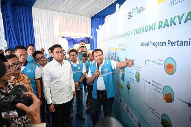 Wamentan gandeng PLN kembangkan ekosistem biomassa Wamentan gandeng PLN kembangkan ekosistem biomassa