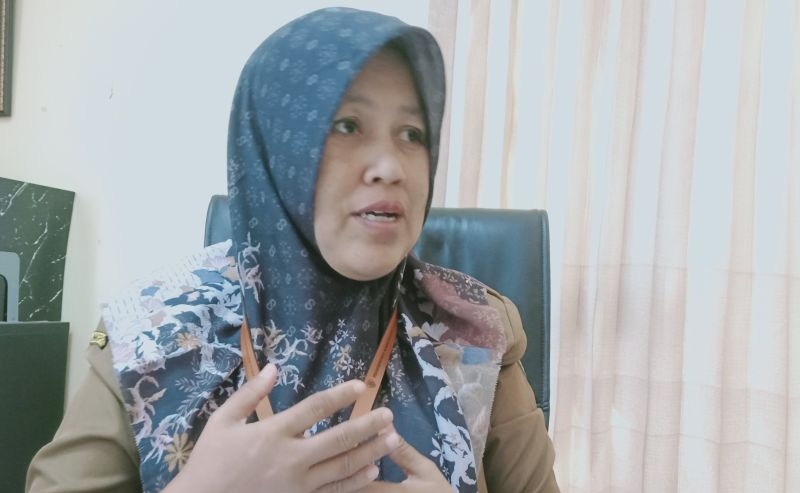 Keberadaan Kota Nusantara pacu pertumbuhan investasi Kabupaten Penajam