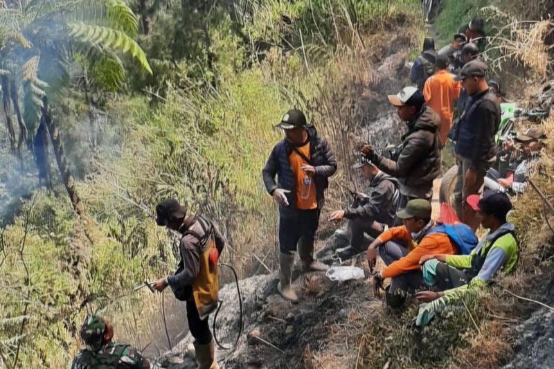 Petugas gabungan diturunkan padamkan karhutla di Pusung Buntung TNBTS Petugas gabungan diturunkan padamkan karhutla di Pusung Buntung TNBTS