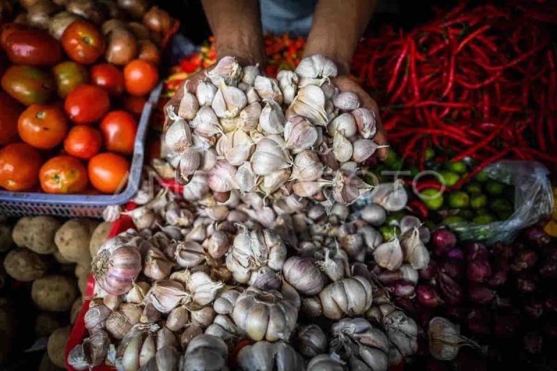 Harga pangan hari ini: Bawang putih capai Rp40.580 per kg Harga pangan hari ini: Bawang putih capai Rp40.580 per kg