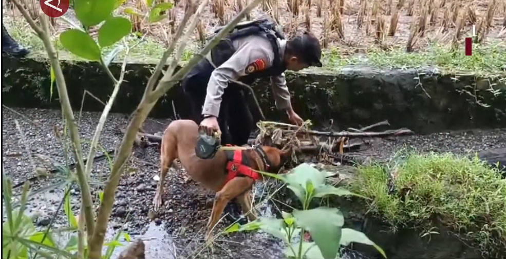 Dugaan kejahatan seksual di pembunuhan penjual gorengan di Pariaman Dugaan kejahatan seksual di pembunuhan penjual gorengan di Pariaman
