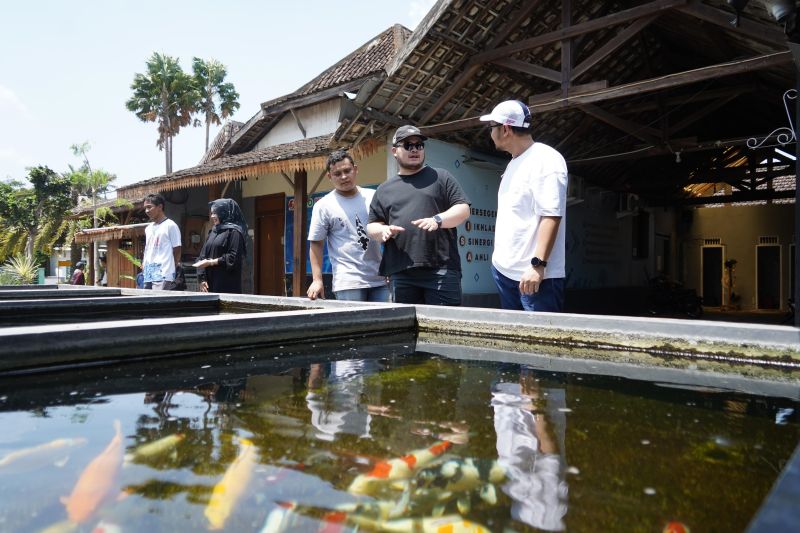 Pemkab Kediri kembangkan budi daya ikan koi Pemkab Kediri kembangkan budi daya ikan koi