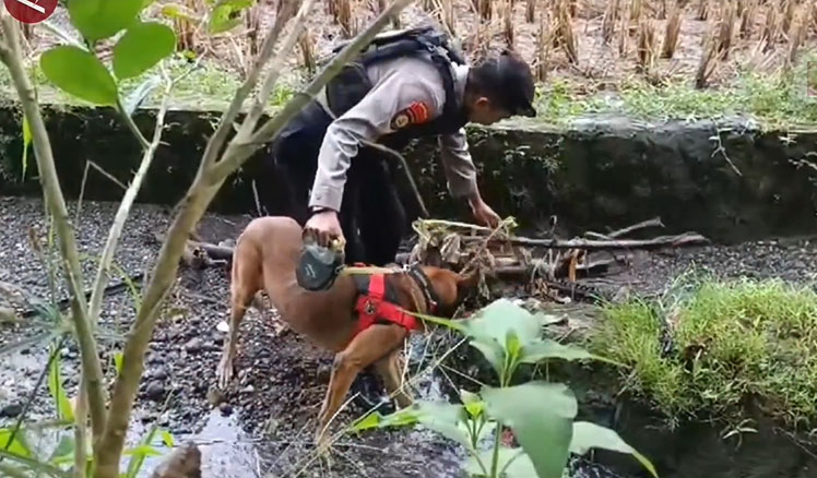 IS tersangka pembunuh penjual gorengan terlibat kasus cabul IS tersangka pembunuh penjual gorengan terlibat kasus cabul